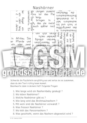 Nashörner.pdf